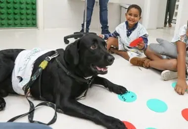 ‘Cão Amigo’: labrador auxilia no tratamento de pacientes no Santa Izabel