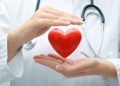 Dia Mundial do Coração: cardiologista aponta os principais cuidados com o órgão vital